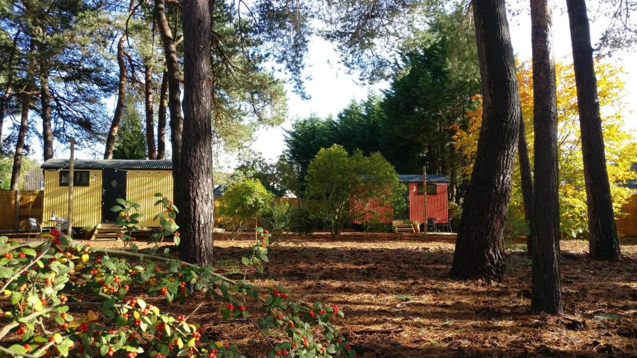 Forest Heath Shepherd'S Huts Ringwood Exterior foto