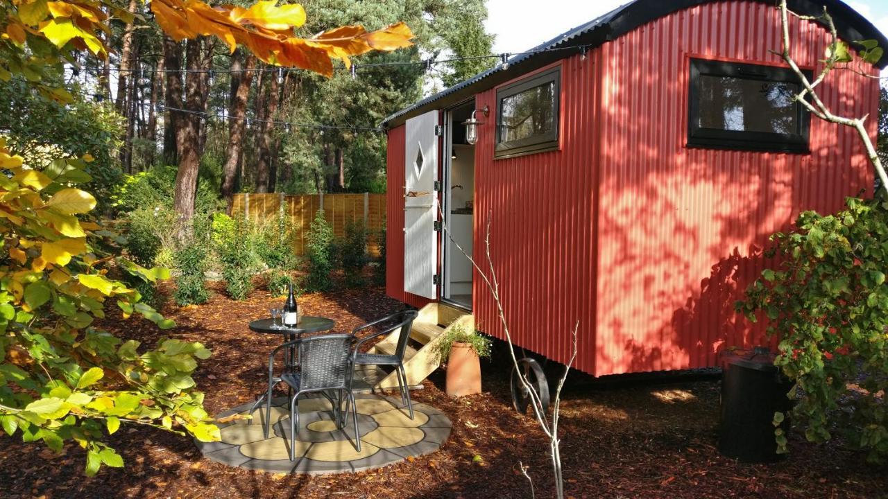 Forest Heath Shepherd'S Huts Ringwood Exterior foto