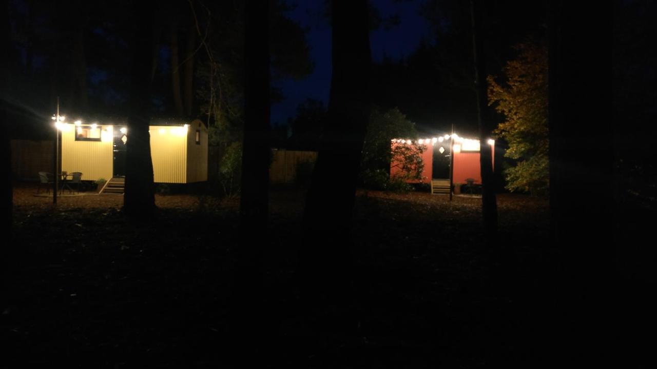 Forest Heath Shepherd'S Huts Ringwood Exterior foto